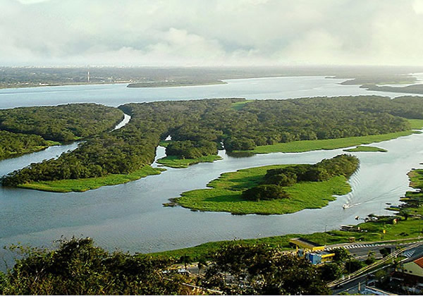 Lagamar do Rio Ribeira de Iguape no Vale do Ribeira. Foto: Wikipedia (Luciano Faustino).